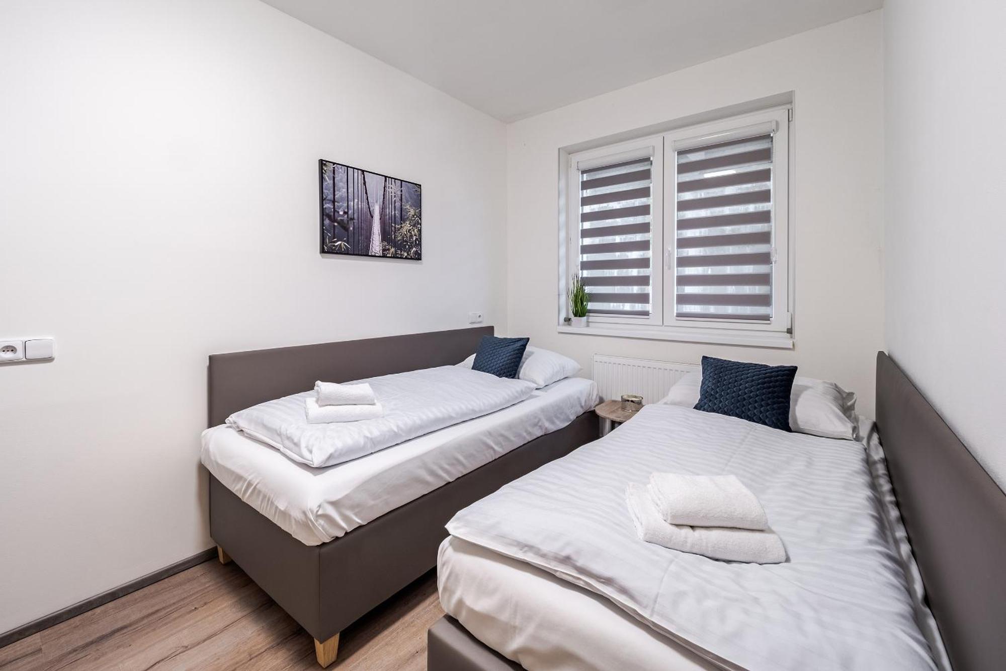 Private Luxury Apartments - Apartman G3 Frymburk Eksteriør billede