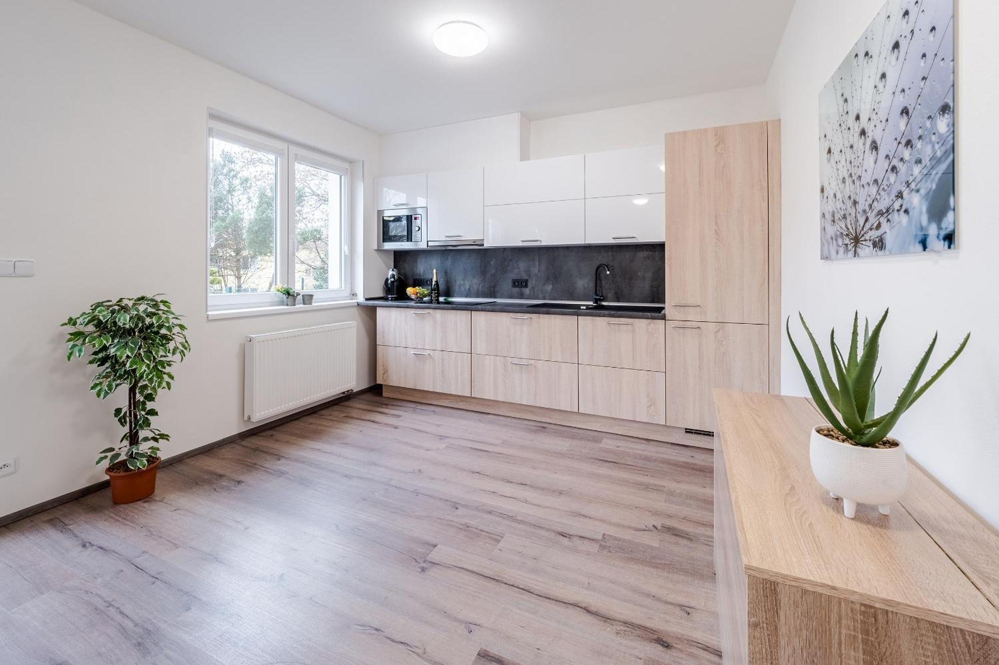 Private Luxury Apartments - Apartman G3 Frymburk Eksteriør billede