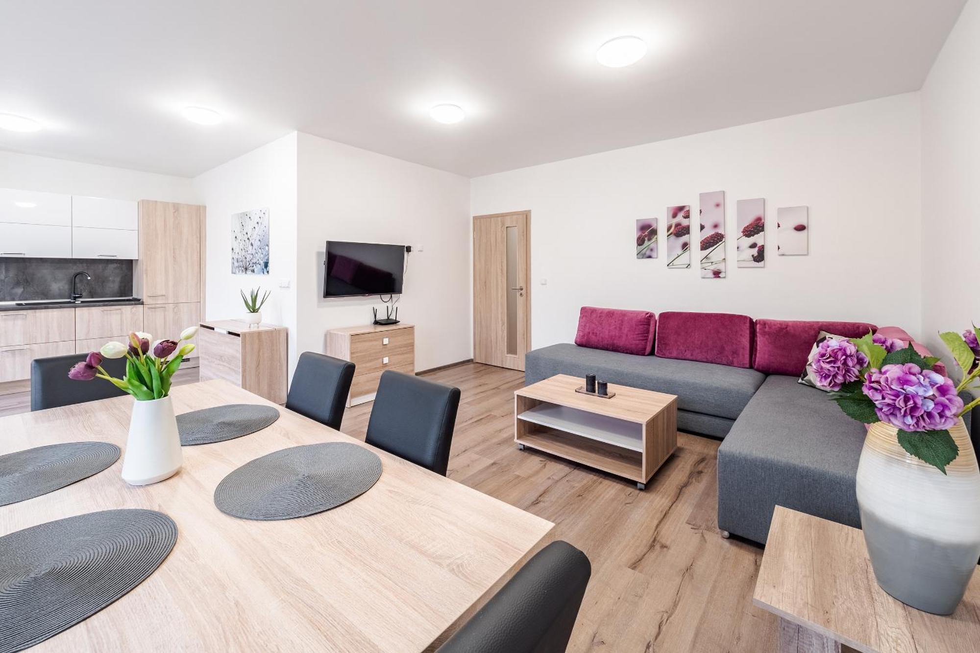 Private Luxury Apartments - Apartman G3 Frymburk Eksteriør billede