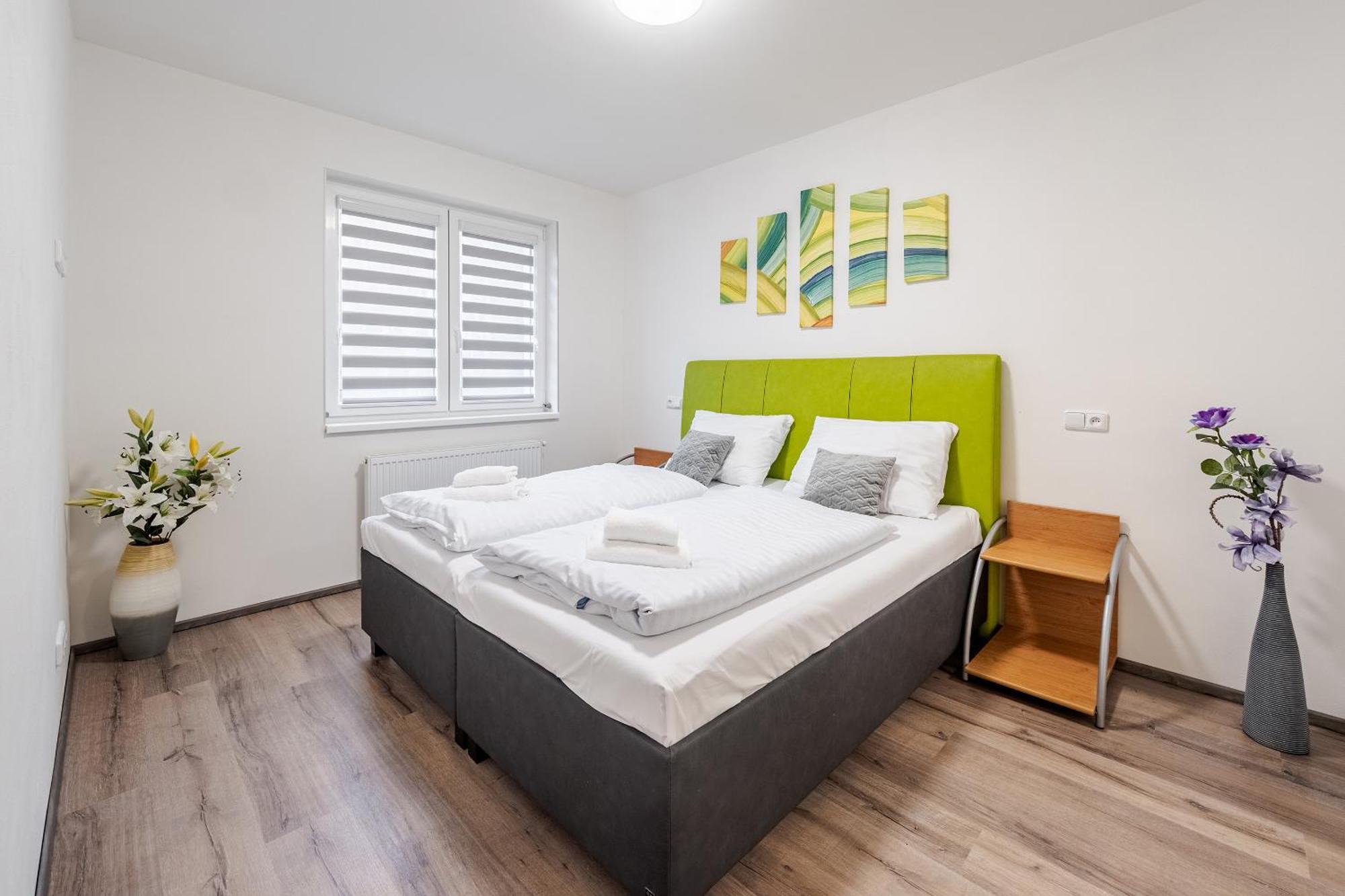 Private Luxury Apartments - Apartman G3 Frymburk Eksteriør billede